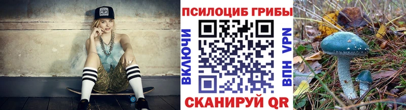 сколько стоит  Югорск  Галлюциногенные грибы Psilocybine cubensis 